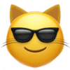 :sunglasses_cat: